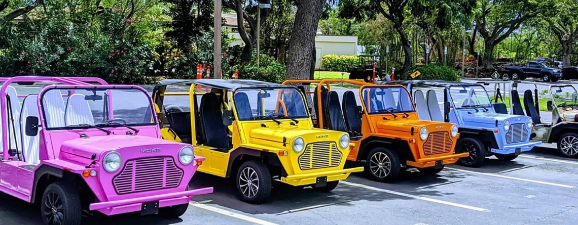 https://zengolfcart.com/?p=29908&preview=true