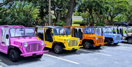 https://zengolfcart.com/?p=29908&preview=true