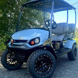 https://zengolfcart.com/?post_type=product&p=30866&preview=true