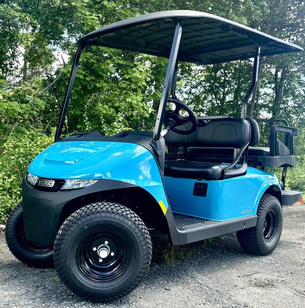 https://zengolfcart.com/?post_type=product&p=30914&preview=true