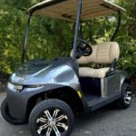 https://zengolfcart.com/product/30930/